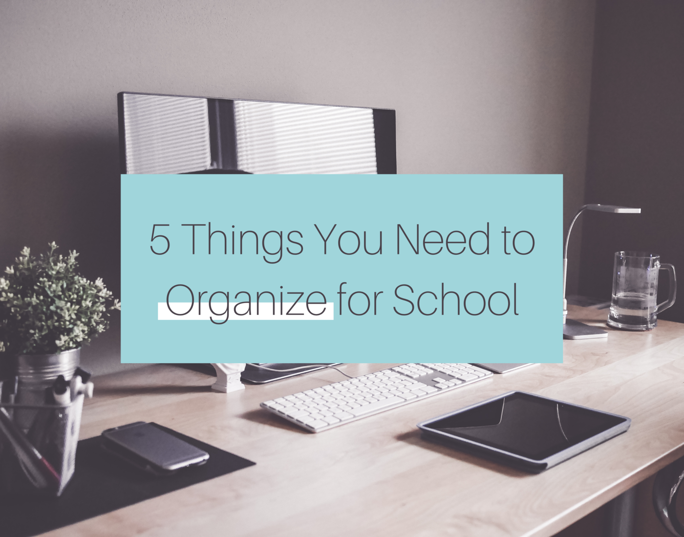 5 Things You Need to Organize for School