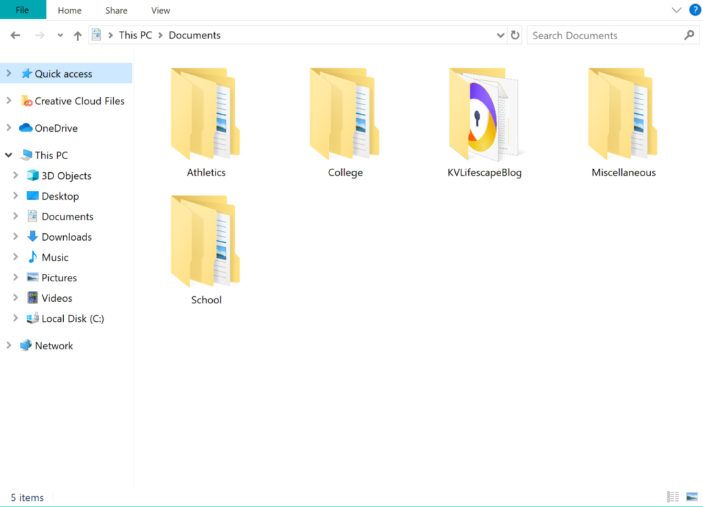 organized laptop folders